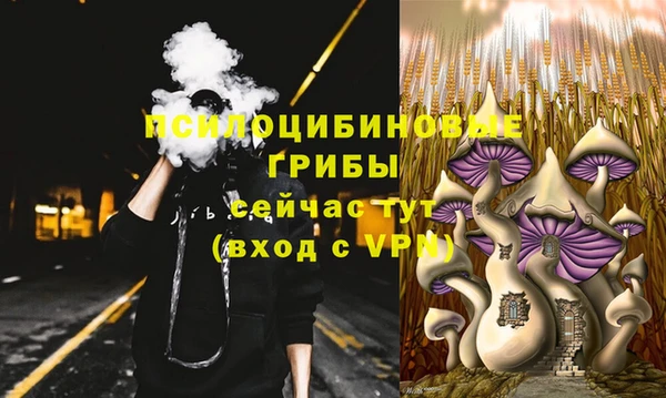 ПСИЛОЦИБИНОВЫЕ ГРИБЫ Навашино