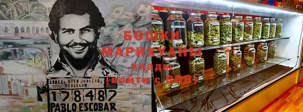 ПСИЛОЦИБИНОВЫЕ ГРИБЫ Навашино
