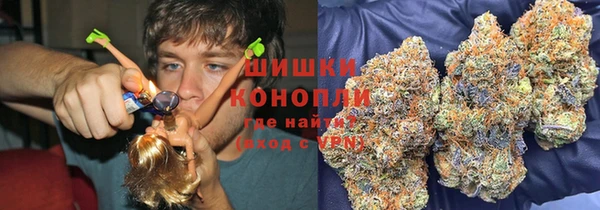 ПСИЛОЦИБИНОВЫЕ ГРИБЫ Навашино