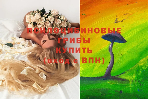 ПСИЛОЦИБИНОВЫЕ ГРИБЫ Навашино